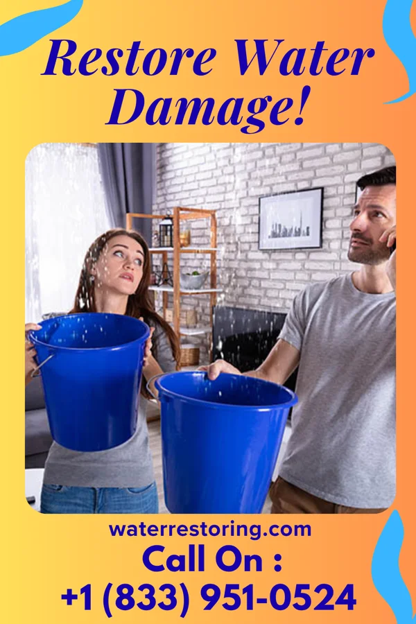 water restoration Stellar Restoration Inc Maynardville