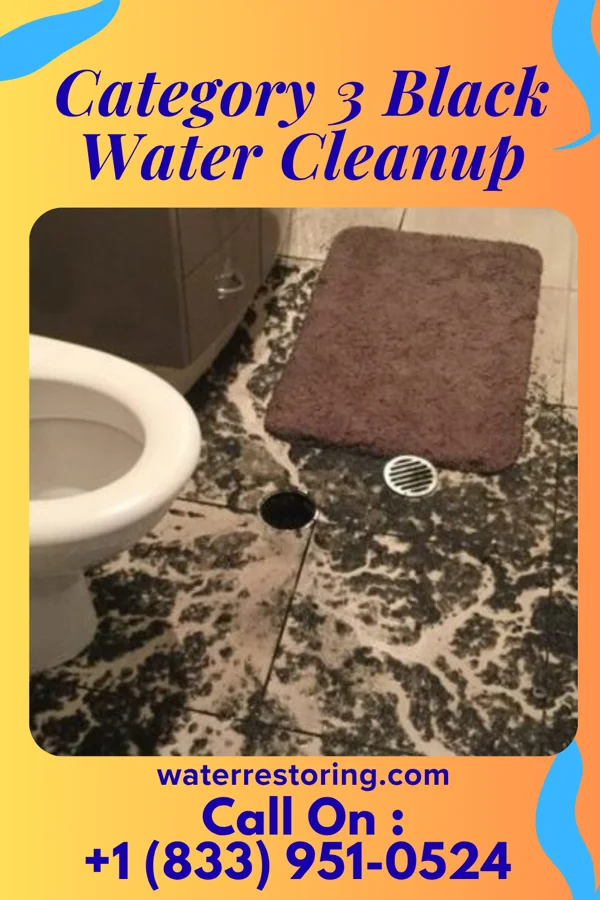 Category 3 Black Water Cleanup in Maynardville, TN