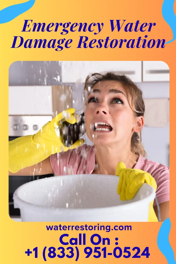 Emergency Water Damage Restoration in Maynardville, TN